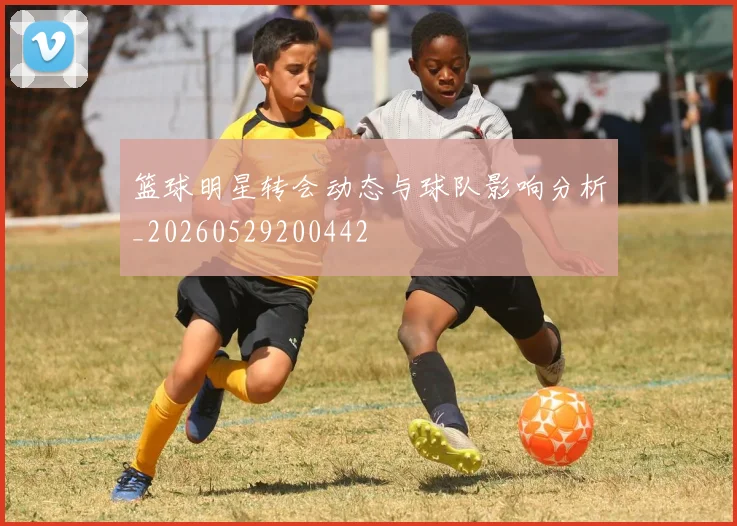篮球明星转会动态与球队影响分析_20260529200442
