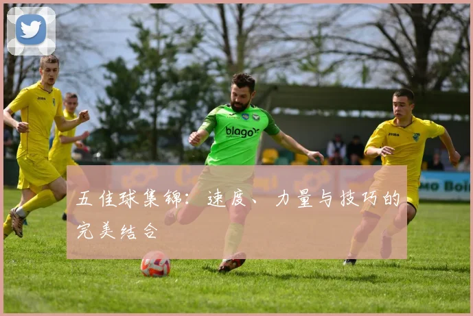 五佳球集锦:速度、力量与技巧的完美结合